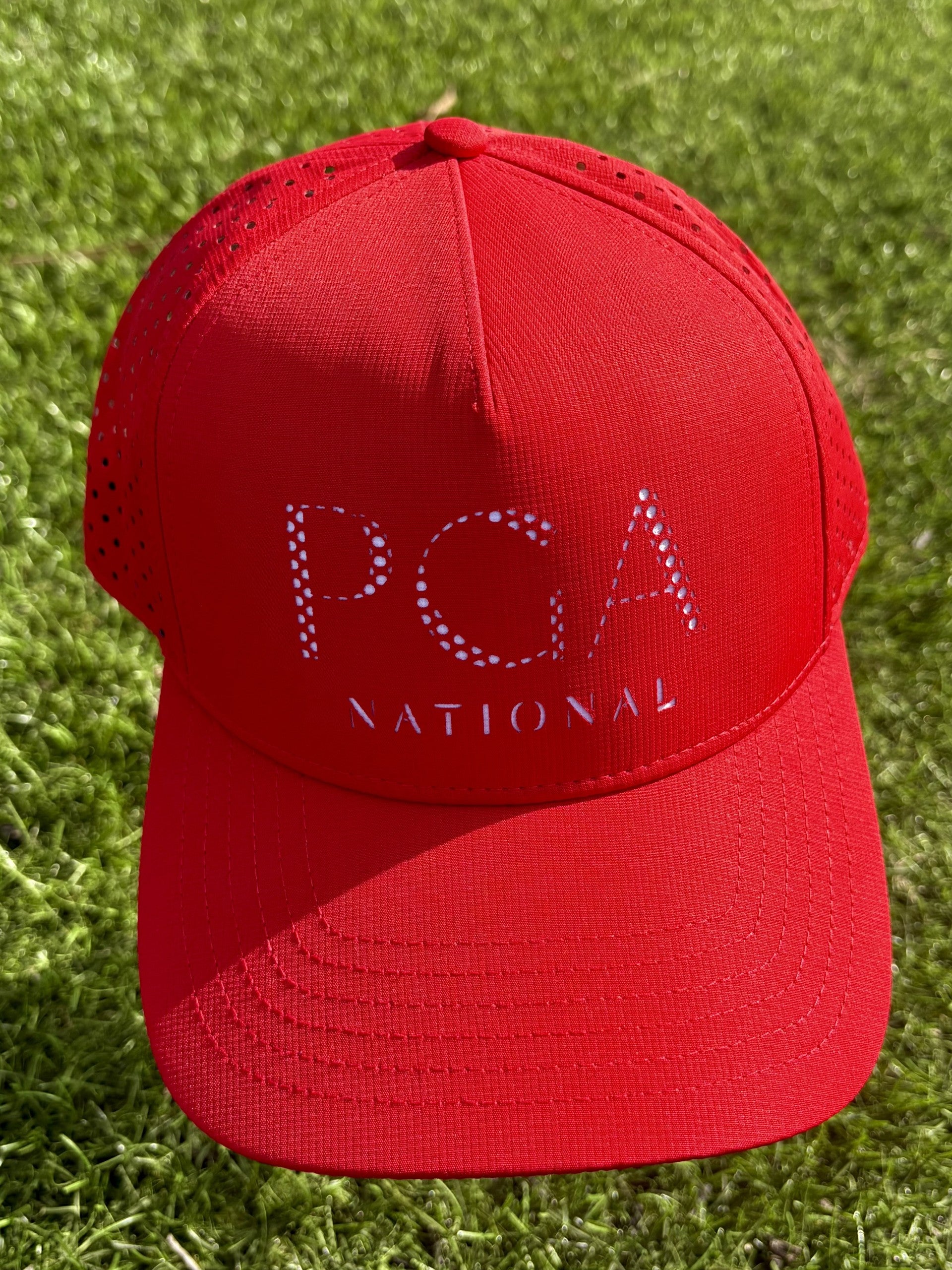 Men's Perforated Logo Structured Performance Cap